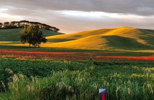 Monteroni d'Arbia House | Tuscany Charme Boutique House