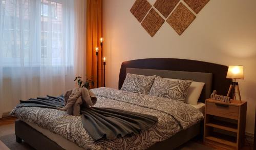 Tirgu Mures Apartment | Tusmorez Central Apartment