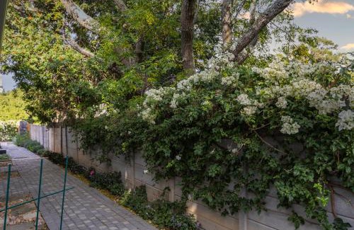 Westridge Apartment | Twelve on Arum