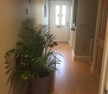 South Twickenham House | Twickes Townhouse