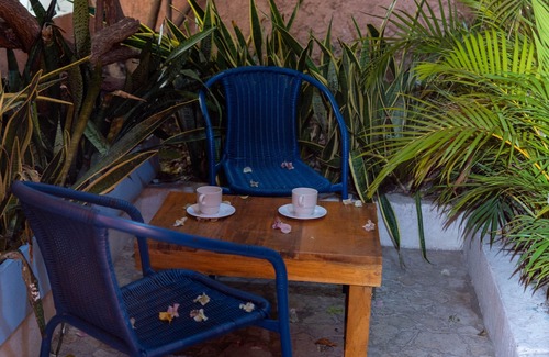 Barrio Centro House | Twin Room With Terrace + Pool at a Colonial House