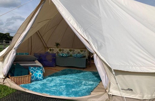 New Forest District Other | Twinkle Bell 4, Luxury Bell Tent with Firepit