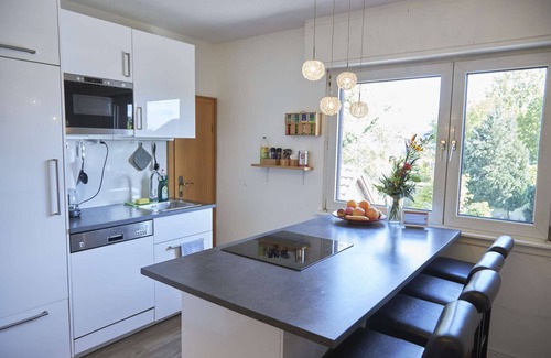 Muehlheim am Main Apartment | Two Bedroom Apartment with big Kitchen close to Frankfurt