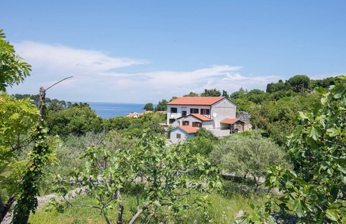 Veli Losinj Apartment | Two bedroom apartment with air-conditioning Veli Lošinj, Lošinj (A-19799-a)