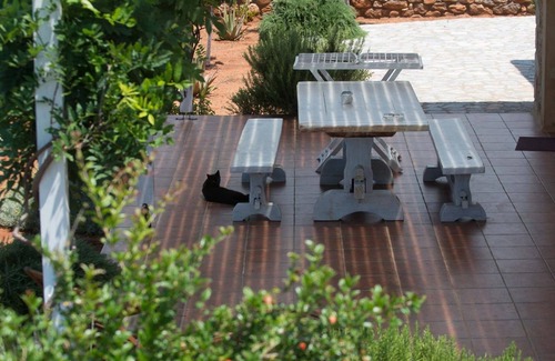 Riglia Villa | Two Bedroom Garden Villa - Iviskos