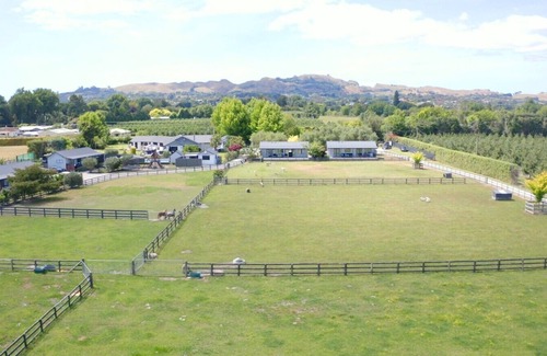 Havelock North Cottage | Two bedroom king Cottage