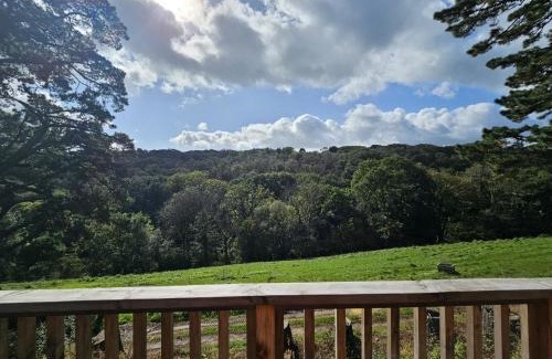 Liskeard Cabin | Two Bedroom Lodge In The Country - Owl, Peacock & Meadow