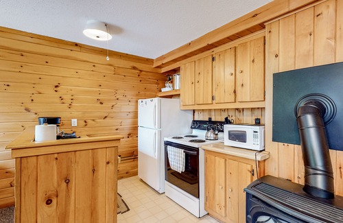 Greenville Apartment | Two cabins in one - lake-view duplex with a shared dock - dog-friendly