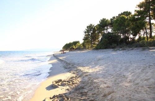 Ghisonaccia Apartment | Two-room apartment 150 meters from the beach - 4 people - Ghisonaccia