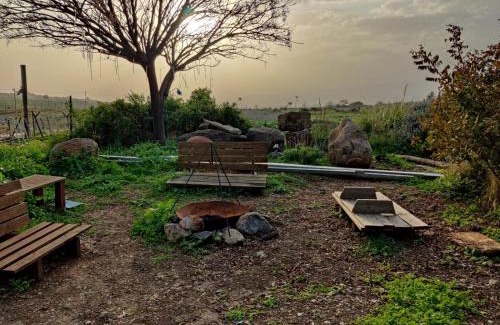 Ani'am Cabin | Two Snales