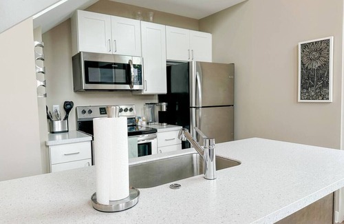 Downtown Rochester Apartment | Two-Story Luxury Ultra-Modern Penthouse Apartment