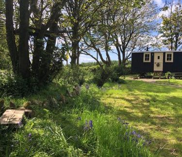 St Brides Other | Ty Bach Glas