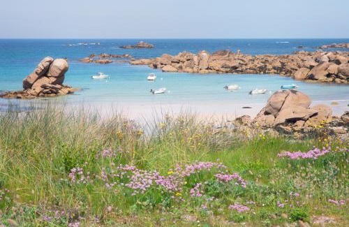 Ploudalmezeau House | TY BIHAN - Charmante maison de plein-pied proche mer