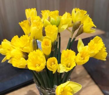 Dolgellau House | Ty Cwtch