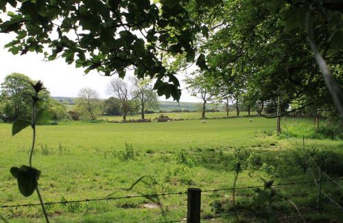 Haverfordwest Bed & Breakfast | Ty Llwyd