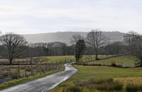 Margam House | Ty'r Tarw-W43384