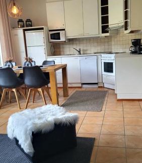 Tahkovuori Apartment | Tyylikäs loma-asunto Alppitalossa