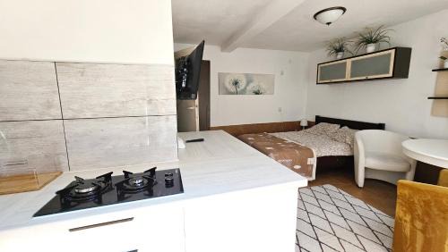 Ustronie Morskie Apartment | U Honoraty