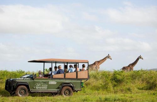 Hluhluwe Cabin | Ubizane Zululand Safari Lodge