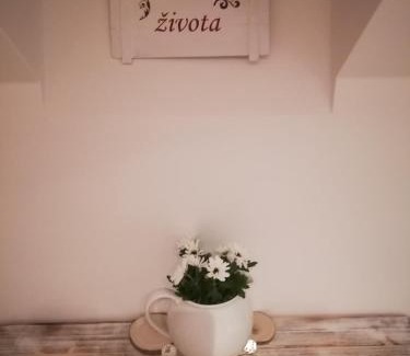 Jindrichuv Hradec Apartment | Ubytování Otín