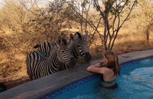 Marloth Park House | Uchawi wa Afrika