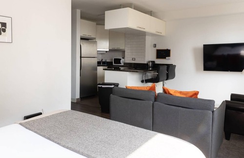 Indian Village Apartment | UChicago, Lake, Sci Museum | Gym + W&D | Zencity