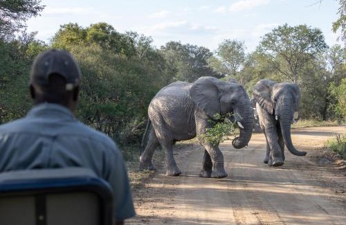 Thorny Bush Game Reserve Villa | Ukanyi Luxury Villa