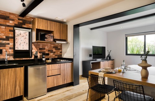 Colonia Roma Apartment | ULIV Roma Norte