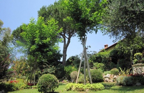 Rosignano Marittimo Villa | Uliveta del Luschi In Castiglioncello, Tuscany