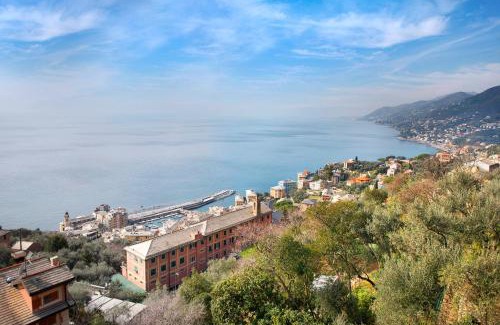 Camogli Villa | Uliveto