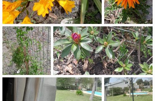 Gualeguaychu House | Un lugar para disfrutar