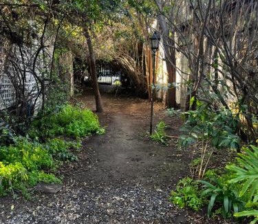 Santiago Apartment | Un trozo de bosque en la ciudad