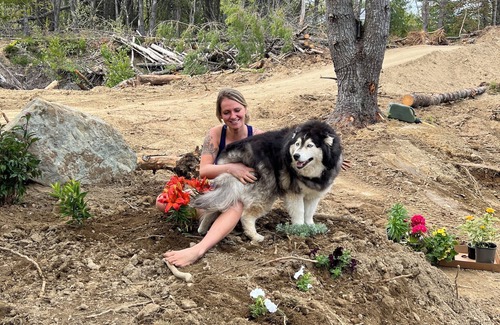 Bar Harbor RV Rental | Under construction, 2024 summer!!! Abuts the Sunrise Trail!!! Book now!