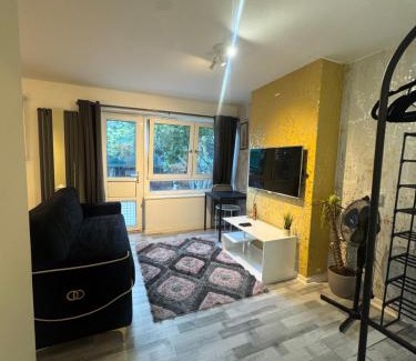 Tower Hamlets Apartment | UNDER NEW MANAGEMENT Studio apartment in London, Bethnal Green