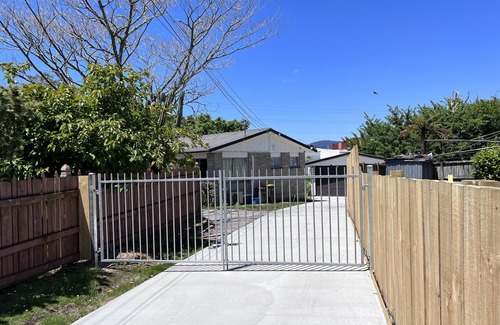 Rotorua House | Under Walnut Tree