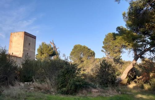 Trouillas House | une halte templière
