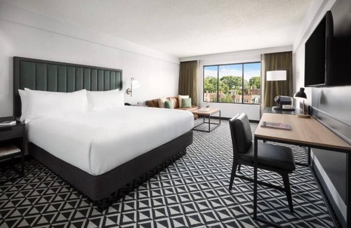 Brookline Hotel | Unique Design & Comfort in Room Close to Fenway Park!
