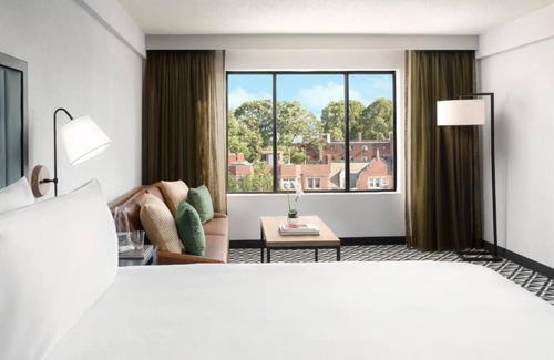 Brookline Hotel | Unique Design & Comfort in Room Close to Fenway Park!