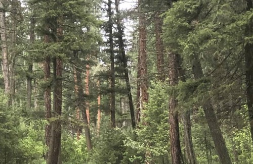 Huson House | Unique Montana Adventure