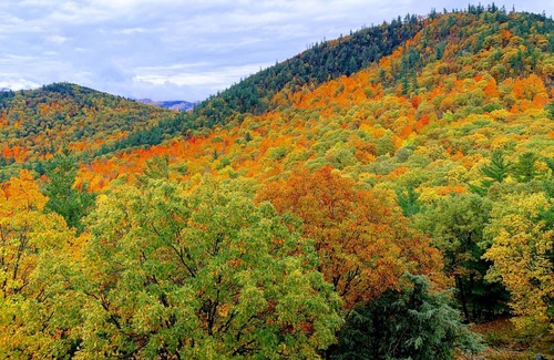 Jay Cabin | Unique Mountain Resort on 2000 acre preserve next to Whiteface Skiing