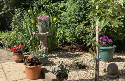 Sticklepath House | Unique quirky studio in Spreyton (Mid Devon)