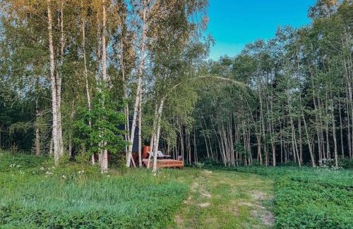 Elva House | Unique Tiny House in Countryside