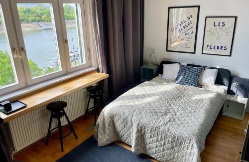 Ujlipotvaros Apartment | Unique view on Danube, Margaret Island, Buda Hills