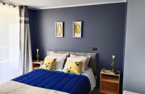 Bellavista Apartment | Uno y Dos dormitorios VIVIR EN SANTIAGO