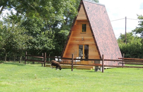 Grandcamp-Maisy Apartment | Unusual stay in the heart of the landing beaches, in the middle of animals
