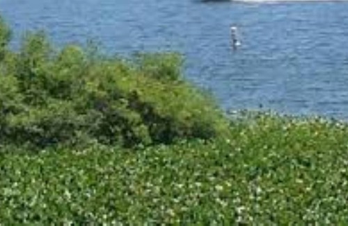Hamilton Cabin | "Unwind and relax in our cozy cottage with a beautiful view of the lake!"