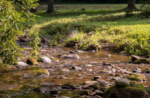 Linville House | Up the Creek