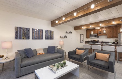 Aspen Apartment | Updated 2BR in the Heart of Aspen