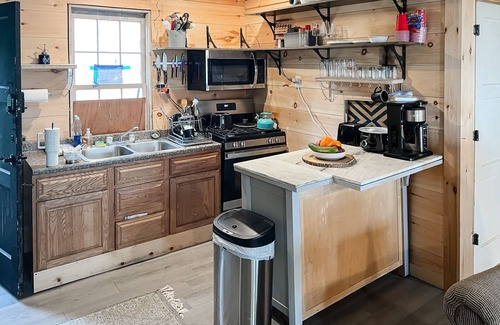Franklin Cabin | Updated waterfront cabin with fireplace, grill, and internet - dog-friendly