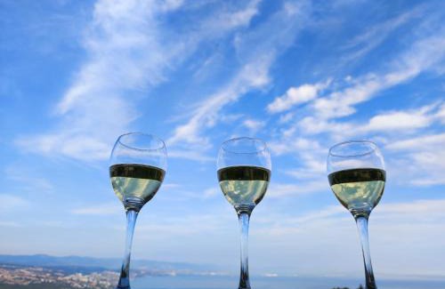 Bregi Apartment | Uphill Opatija Apartment